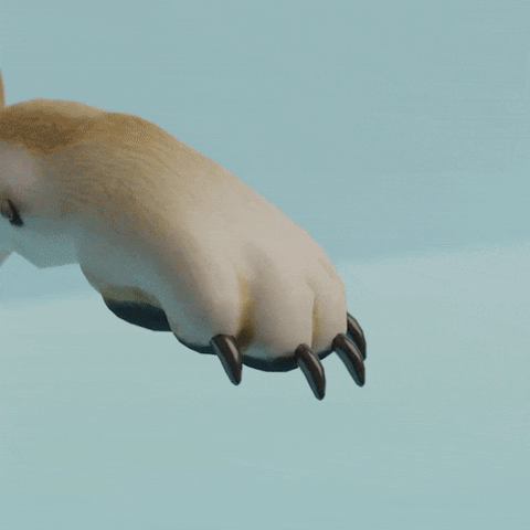 Soft Pet Paws™ - Pet Nail Grinder